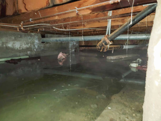 Best Ceiling water damage repair  in Bruce, MS