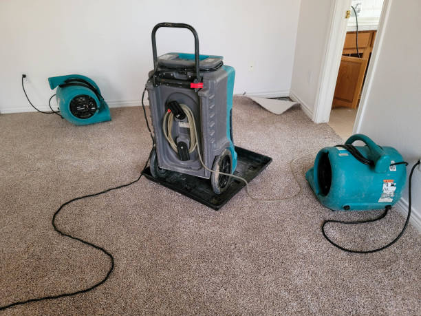 Best Mold removal after water damage  in Bruce, MS