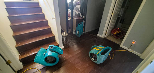 Best Water damage contractors near me  in Bruce, MS