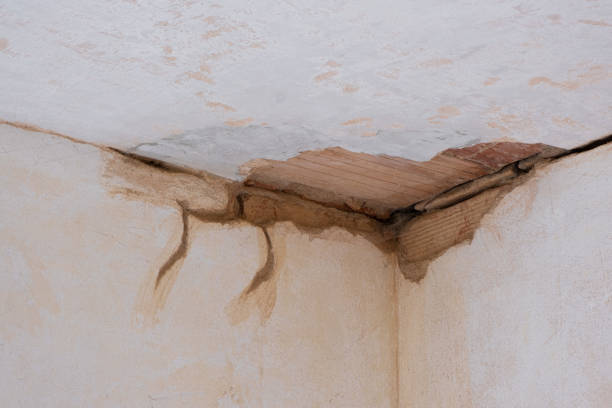 Best 24/7 water damage repair  in Bruce, MS