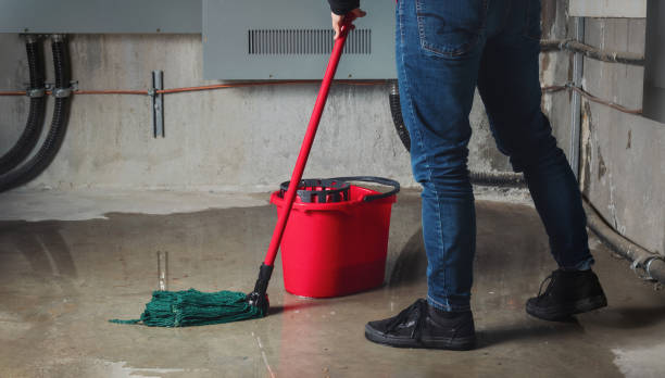 Best Basement water damage restoration  in Bruce, MS