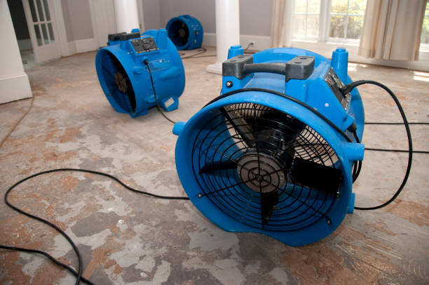 Best Fire Damage Restoration  in Bruce, MS