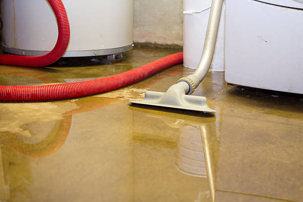 Best Flood restoration services  in Bruce, MS