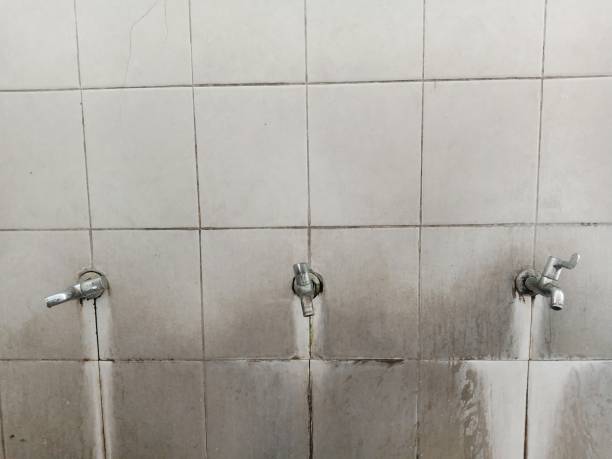 Best Carpet water damage restoration  in Bruce, MS