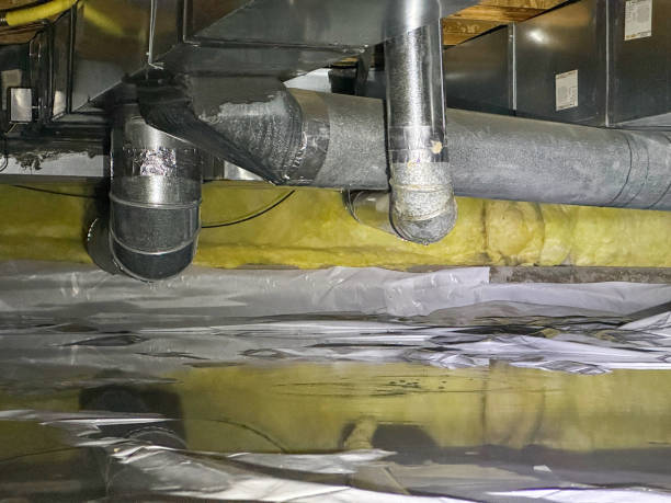 Best Professional water damage repair  in Bruce, MS